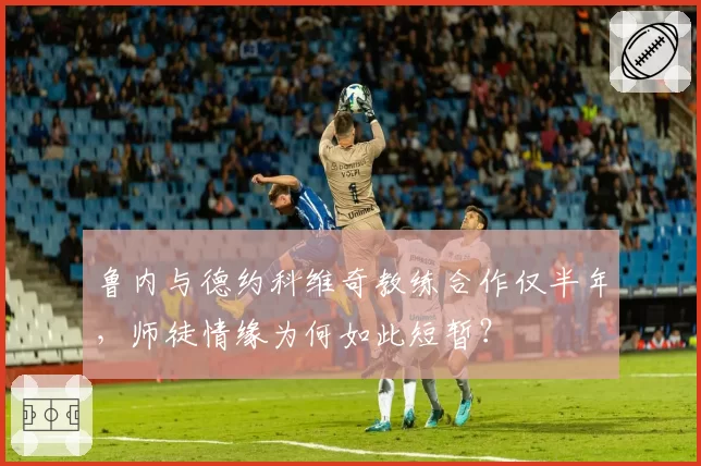 鲁内与德约科维奇教练合作仅半年，师徒情缘为何如此短暂？